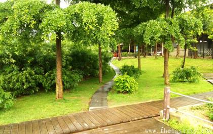 IMG_20140518_125011.jpg